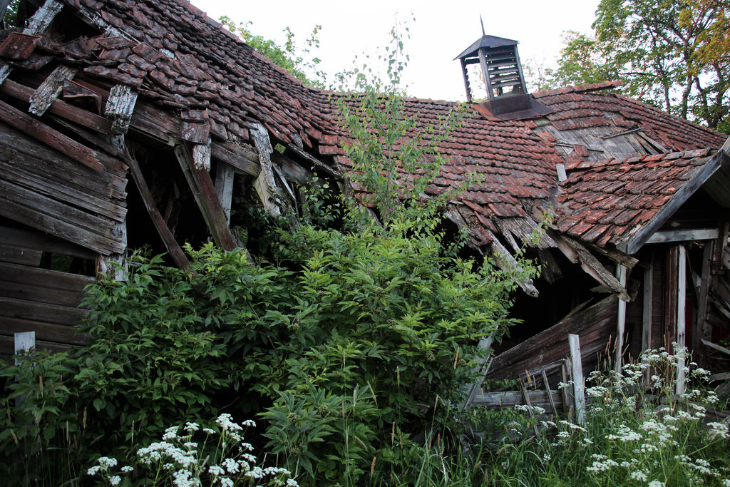 Remains of what used to be a barn of some sort