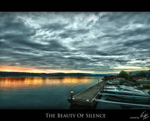 The Beauty of Silence '10