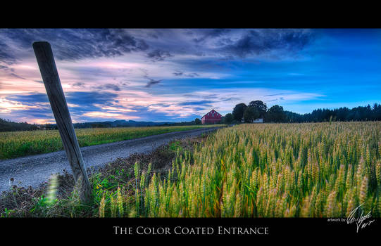 The Color Coated Entrance