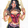 X-23 markers