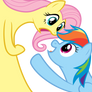 Flutter and Dash