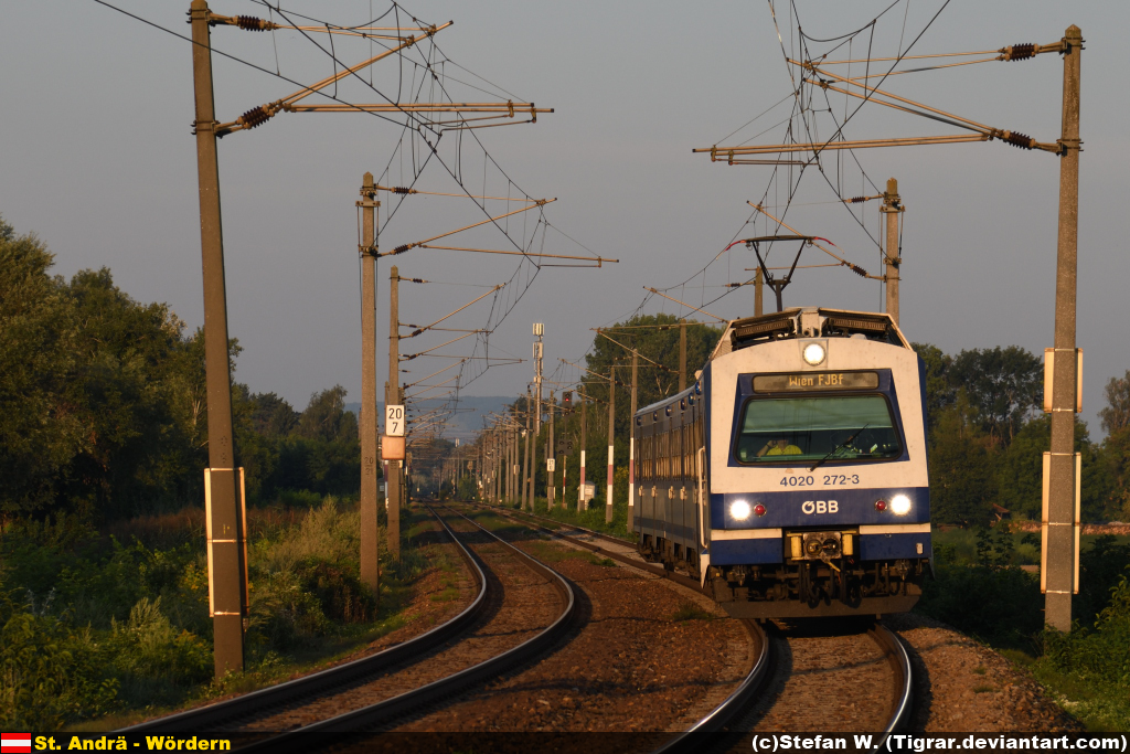 4020-272 by Tigrar
