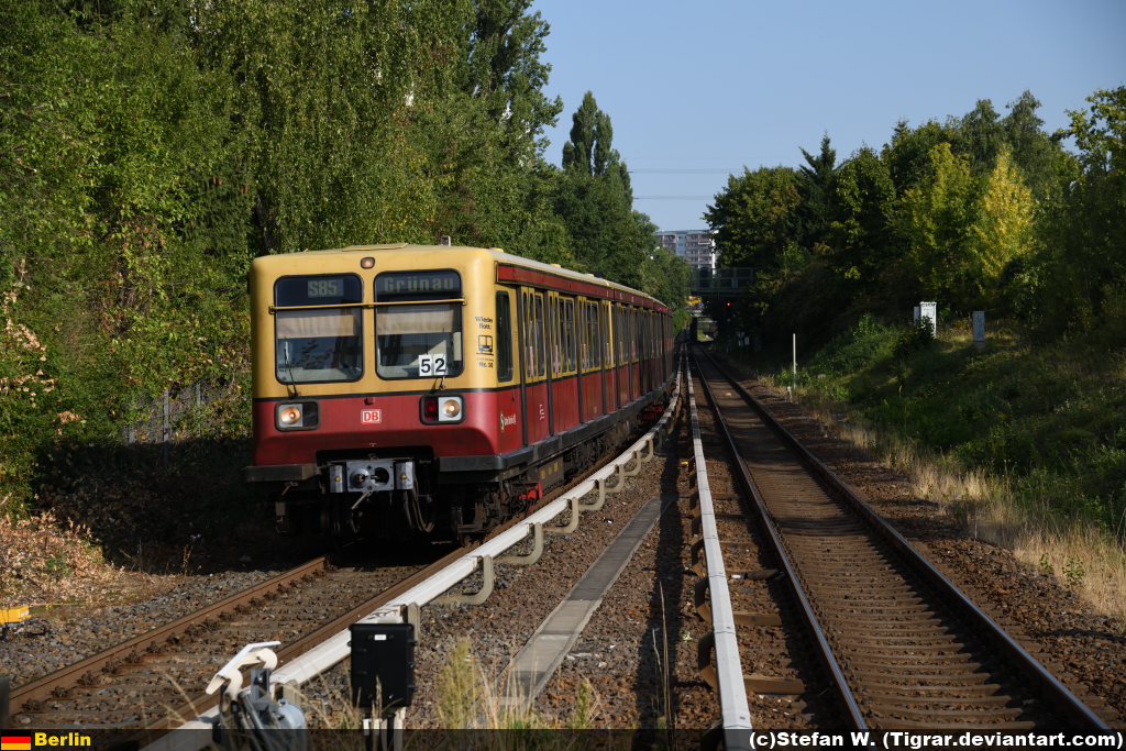 DB 485-110 by Tigrar