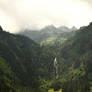 Green ravine