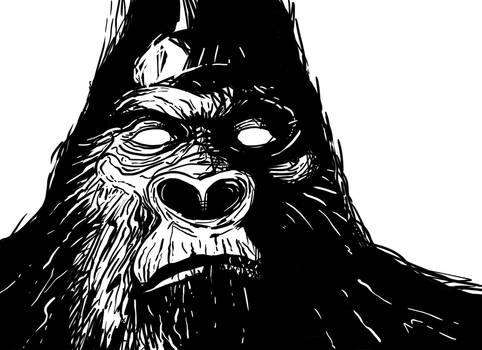 gorilla CB1 W