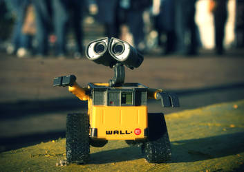 Walle on the Beach 08