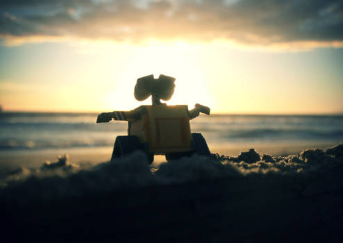 Walle on the Beach 11