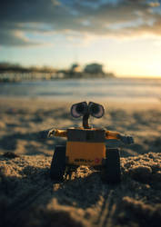 Walle on the Beach 12