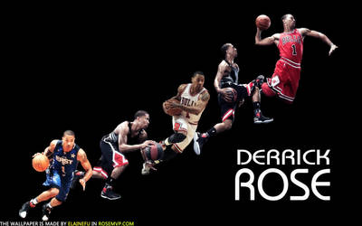 chicago bulls derrick rose wallpaper