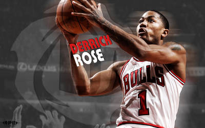 chicago bulls derrick rose wallpaper