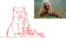 Bear Family Sketch