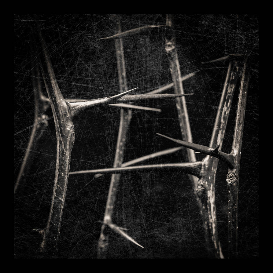 Nightmares by jhps Nightmares by jhps