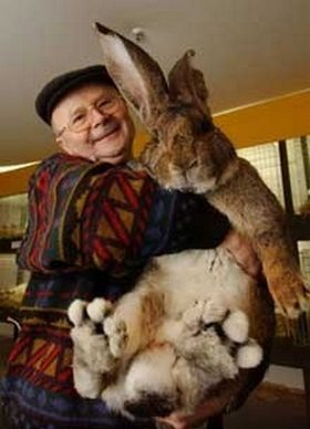 One Giant Peter Cottontail