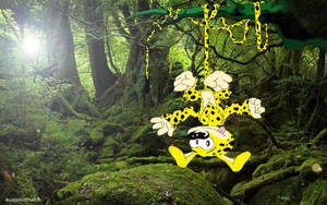 marsupilami 02