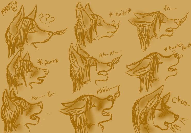 Sneeze Sequence