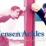 Header: Jensen Pink