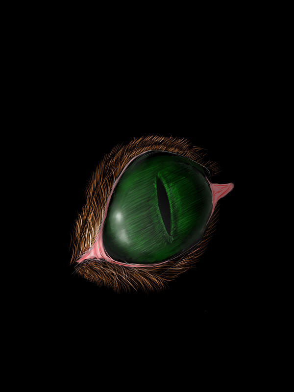 glazenap by KsenoNFaurt on DeviantArt