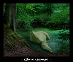 .:. Water Horse .:. by blackdragonart