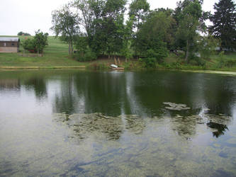 pond stock 39