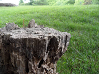 Cliff stock 10