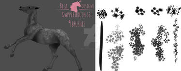 Belas Dapple Brush set