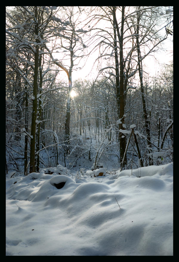 Cold sun by manroms on DeviantArt