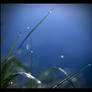 Droplets