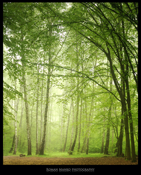 Green world: Trees