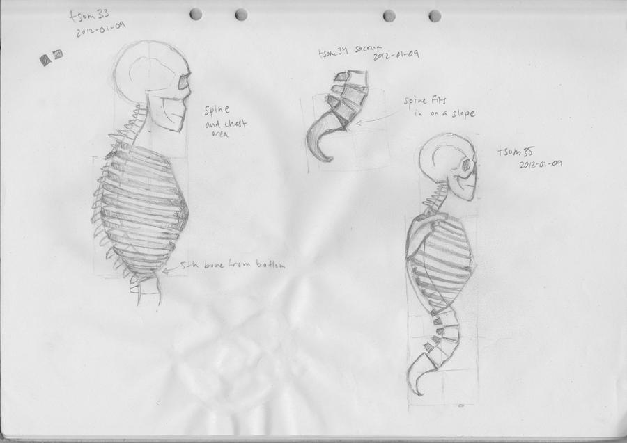 Man Figure Structure The Structure of Man Sketches by tiftan on DeviantArt
