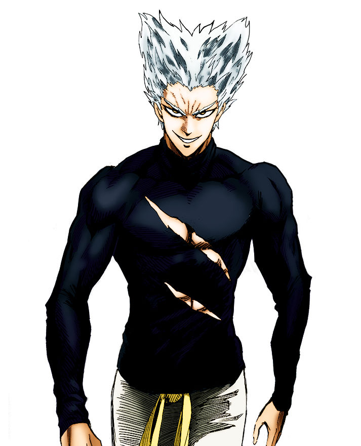 Normal Garou Garou - One Punch Man by XavoDraw on DeviantArt