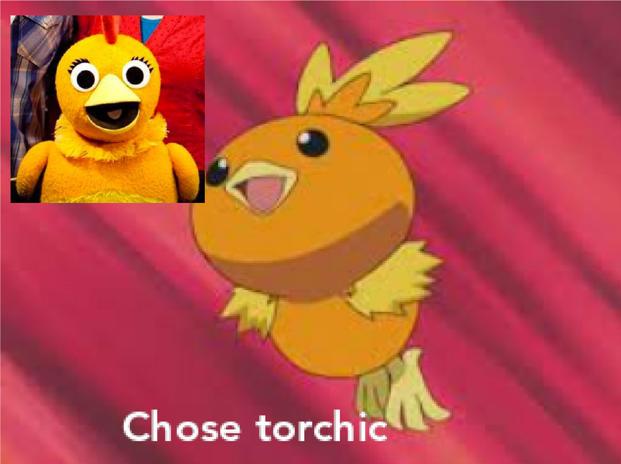 Torchic Doctor Chica Chose Torchic by Disneyponyfan on DeviantArt