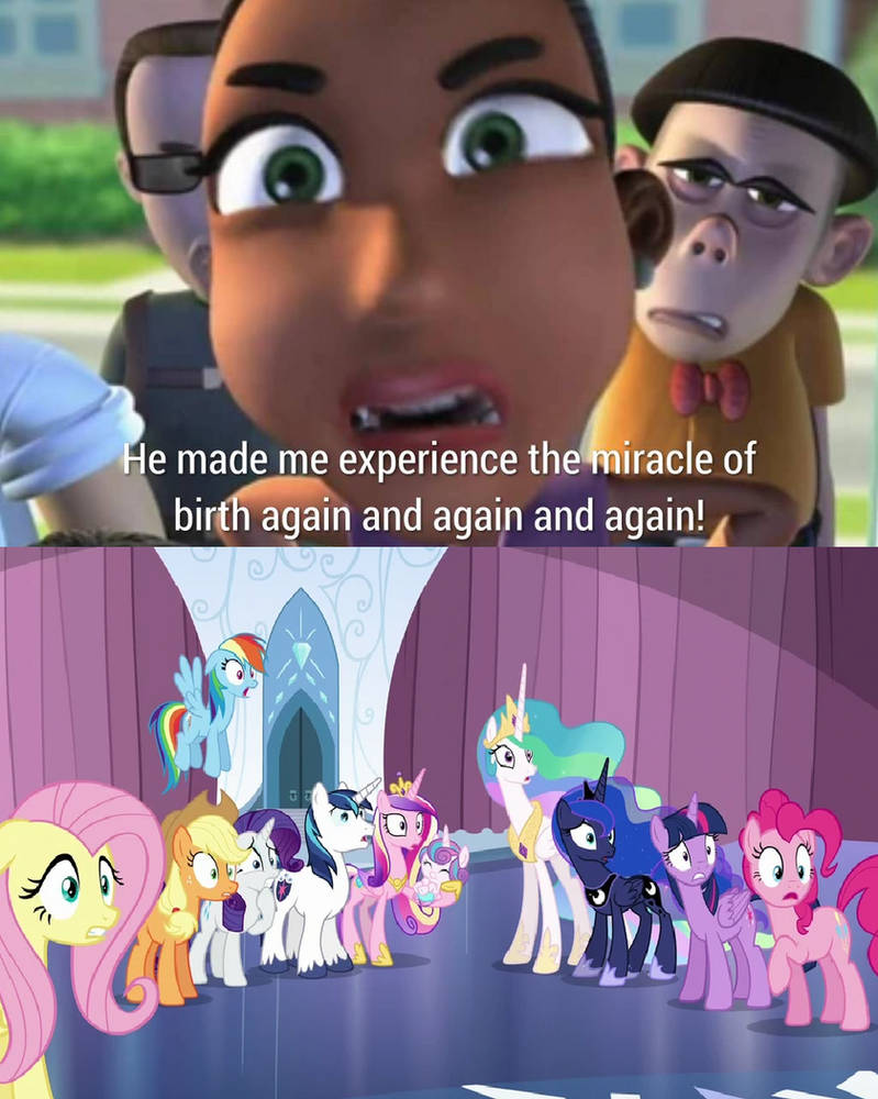 Monty Python Miracle Ponies reacts to the Miracle of Birth scene by Disneyponyfan on DeviantArt