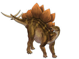 Stegosaurus