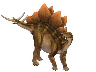 Stegosaurus