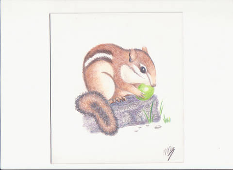 Drawing Practice: Chipmunk