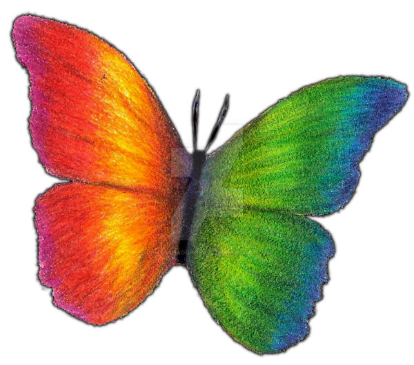 Butterfly Tattoo color options