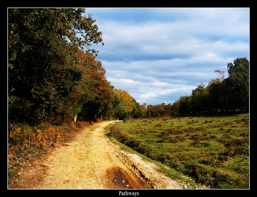 Pathways