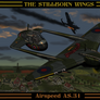 Airspeed