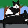 Ravenpaw x Barley