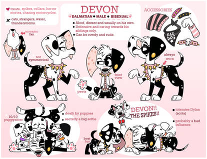 Devon Reference Sheet