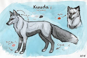 Kuuda - Feral reference sheet 2018