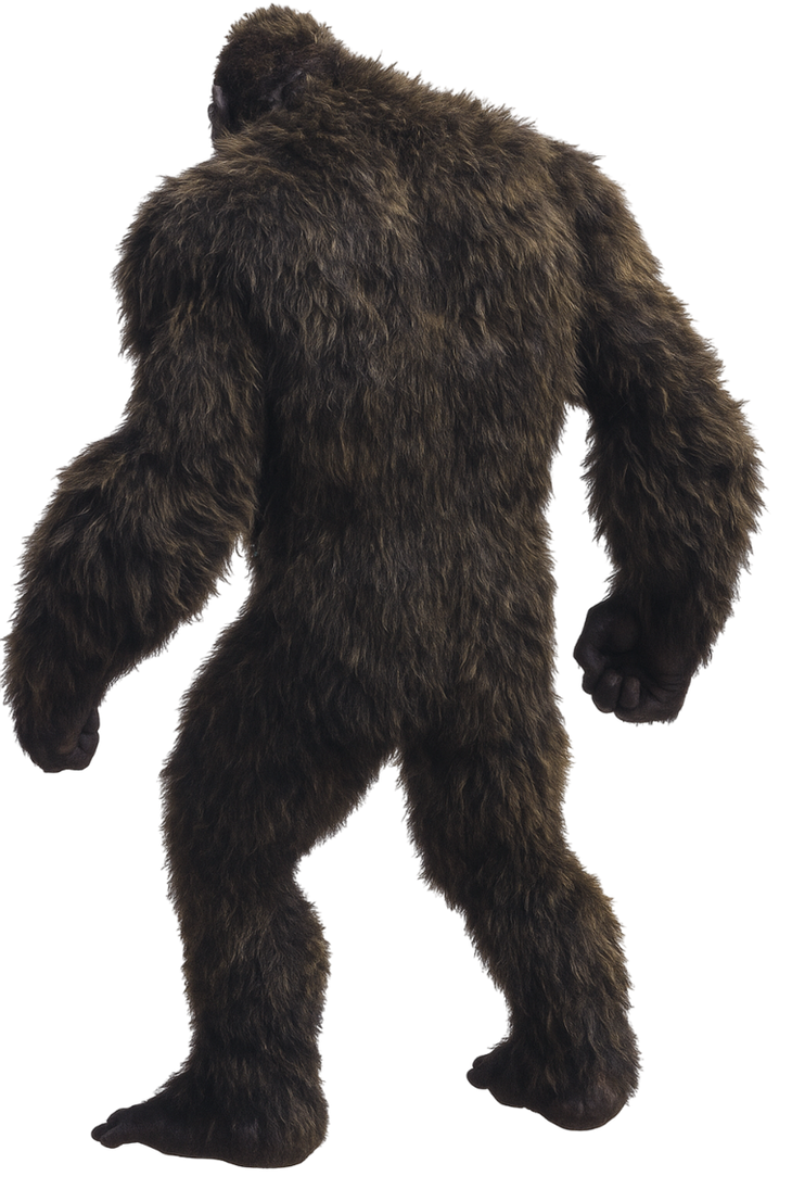 Kong Raptor Kong *Rotated To The Back* by TysonPaiser on DeviantArt