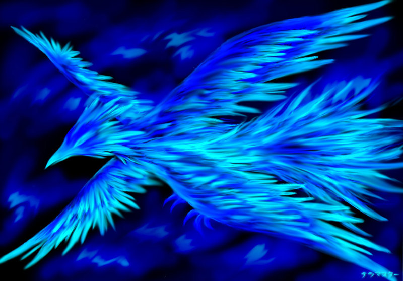 Blue Phoenix by Supanova89 on DeviantArt