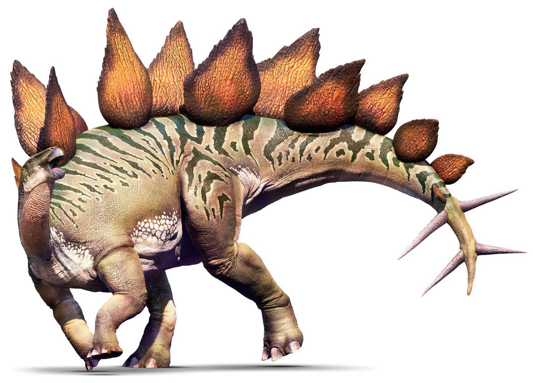 Травоядные динозавры с шипами
