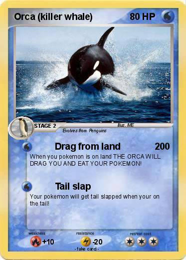 orca pokemon card Pokemon killer whale 58