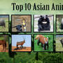 Top 10 Of My Favorite Asian Animals 2