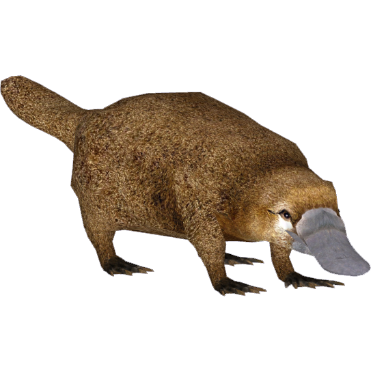 Platypus Bead Animal by lemaroo88 on DeviantArt