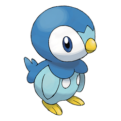 Piplup 