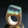 Wood and resin ring