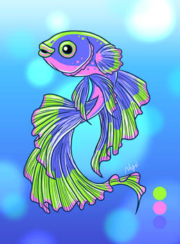 Tricolor Betta fish